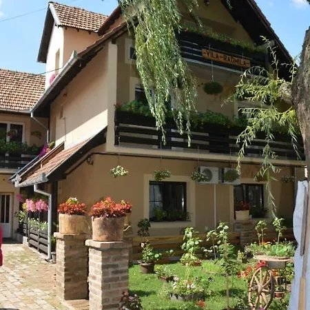 Etno Kuca Paor-apartmani Oda ve Kahvaltı Kikinda